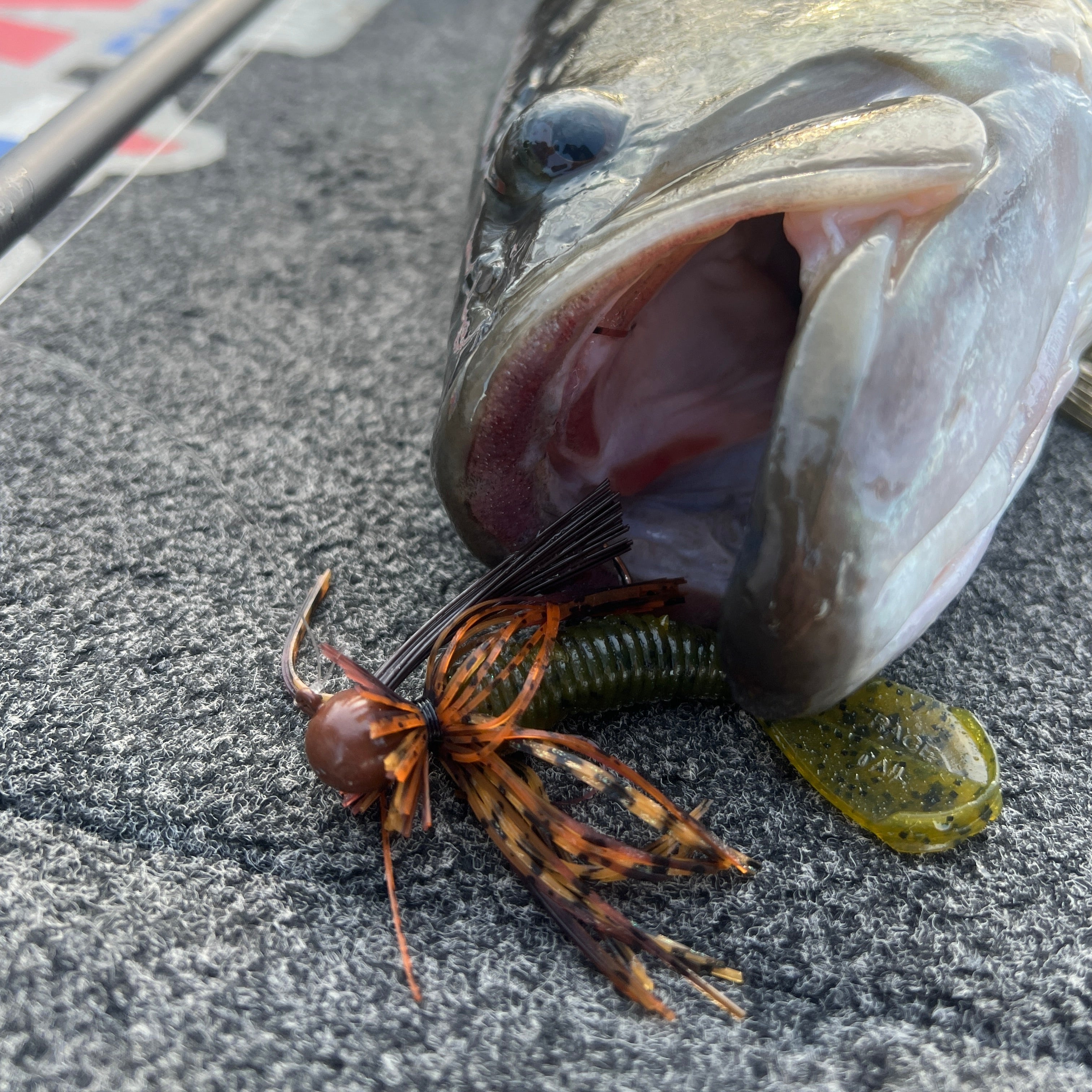 Big Largmeouth bass hooked with a Sardis Craw Motion Fishing Finesse Jig in its mouth laying on the deck of a Bsss boat.