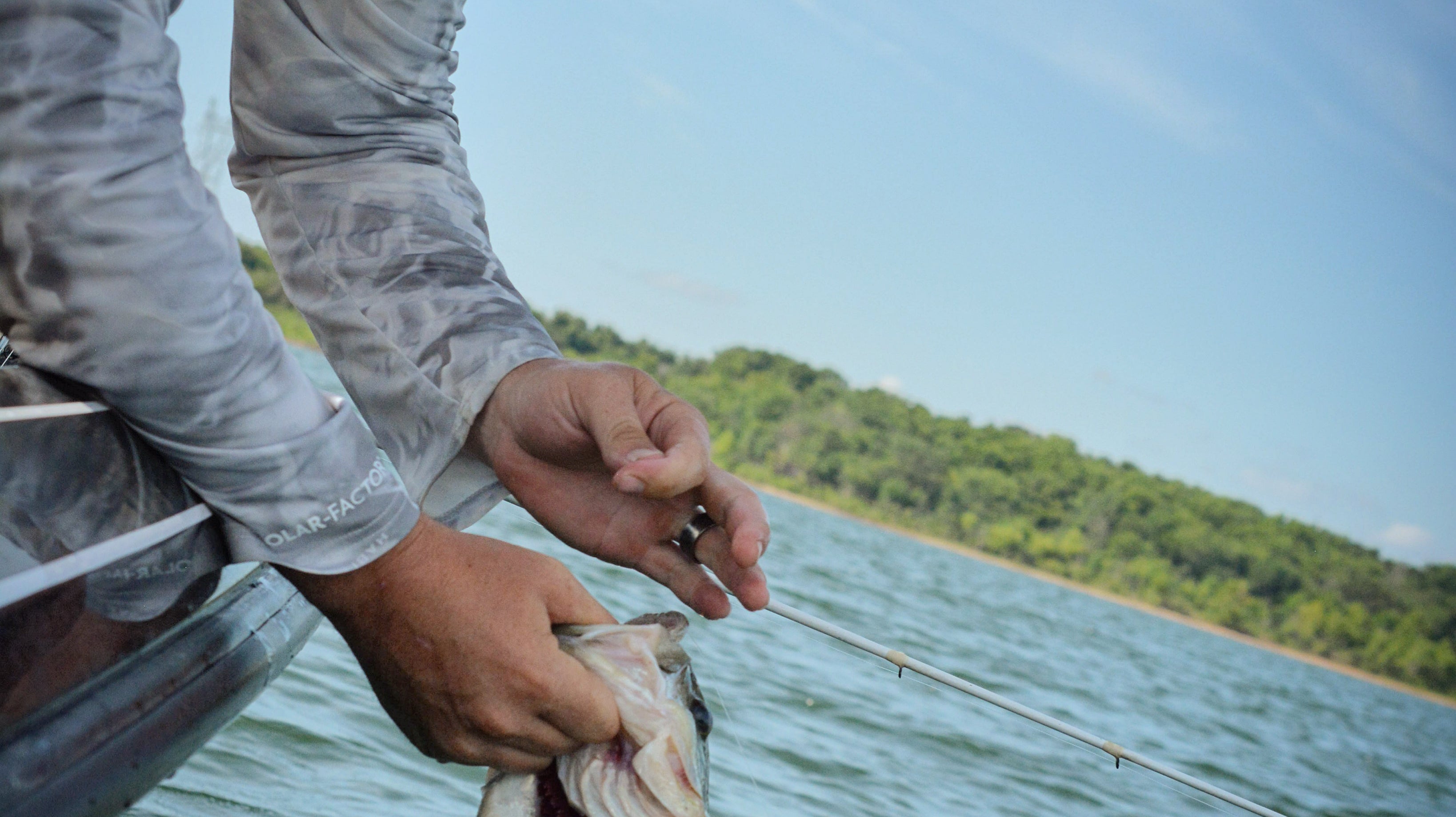 Mastering Fish Behavior: Essential Tips for Anglers to Catch More Fish