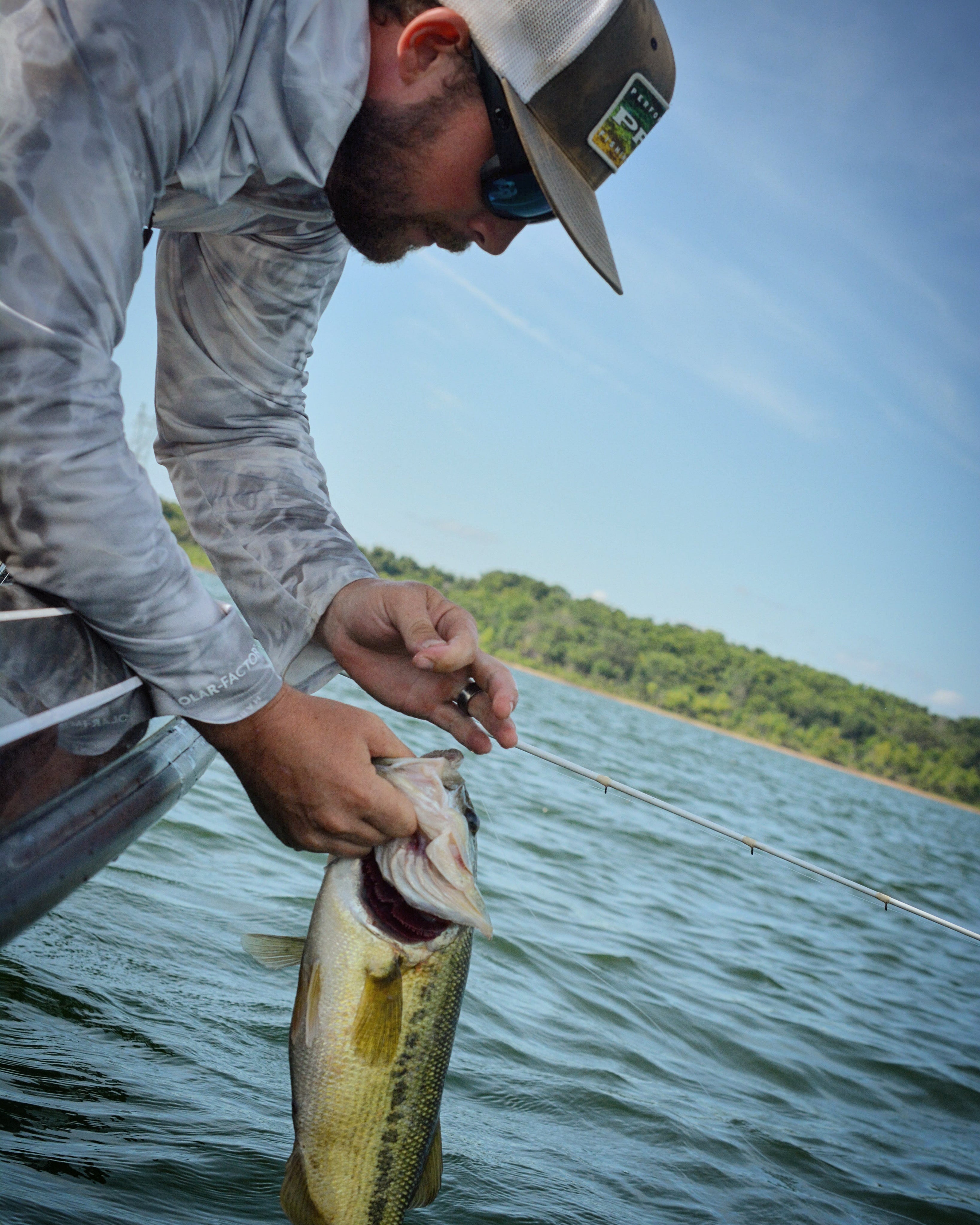 Mastering Fish Behavior: Essential Tips for Anglers to Catch More