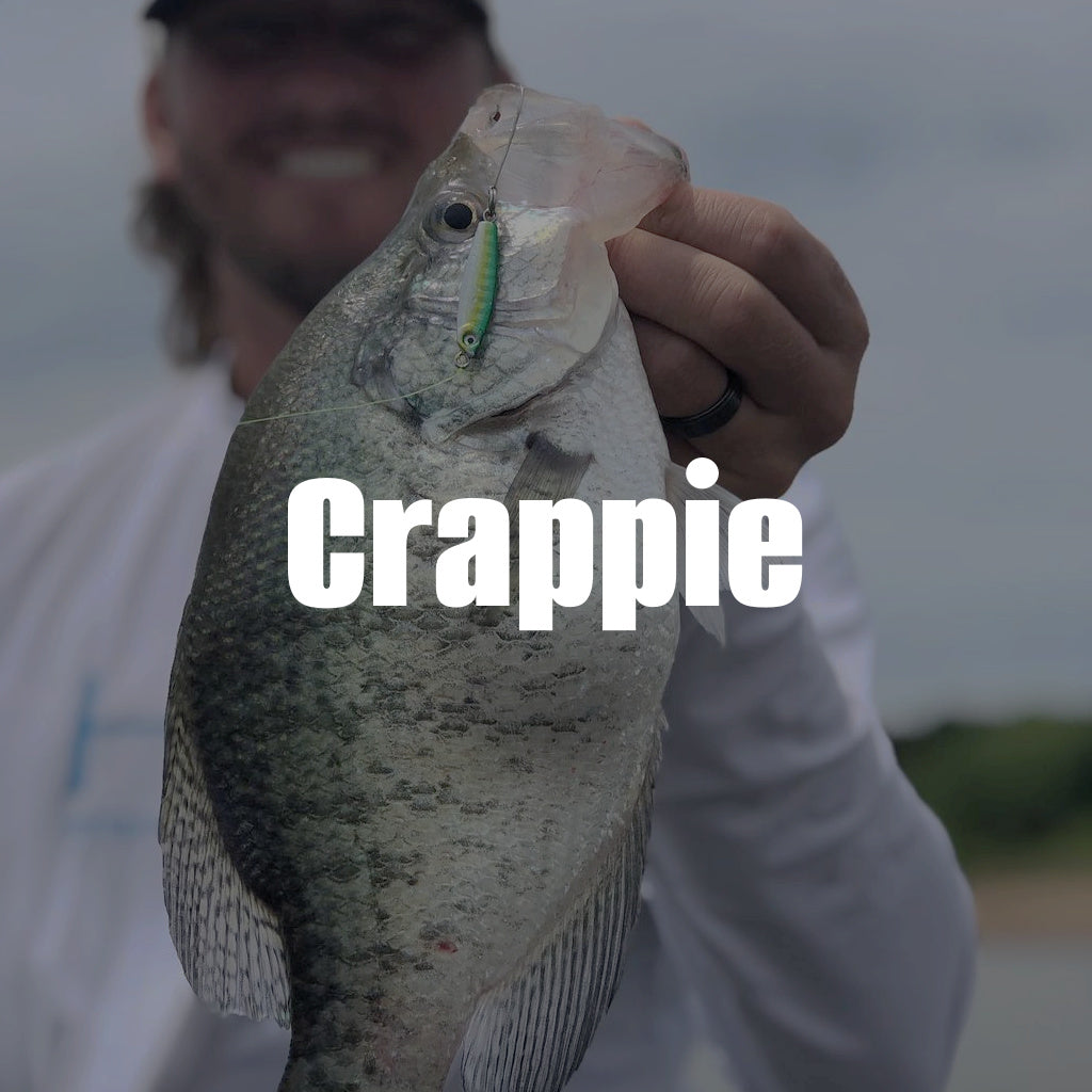 Motion Fishing Crappie Collection 