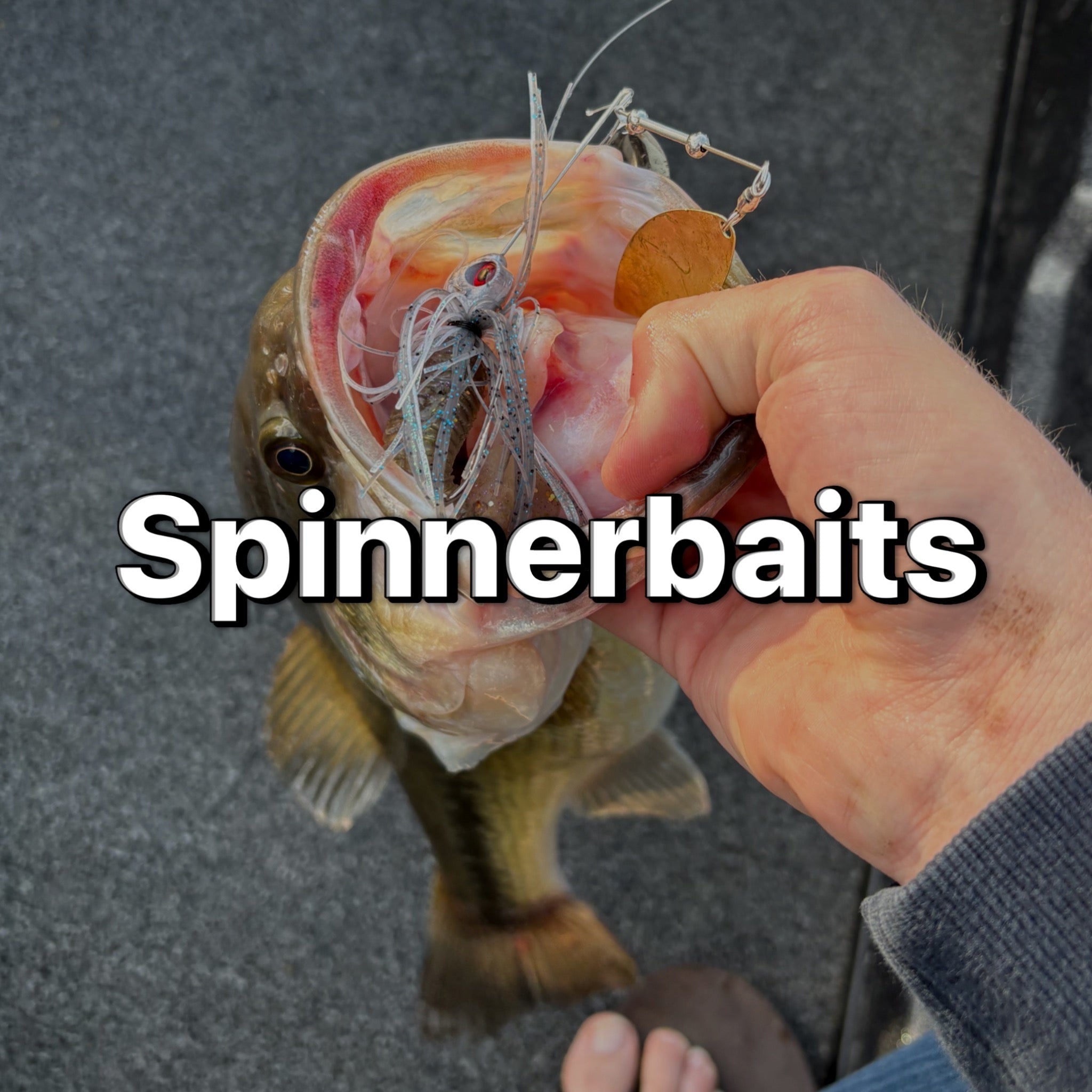 Spinnerbaits