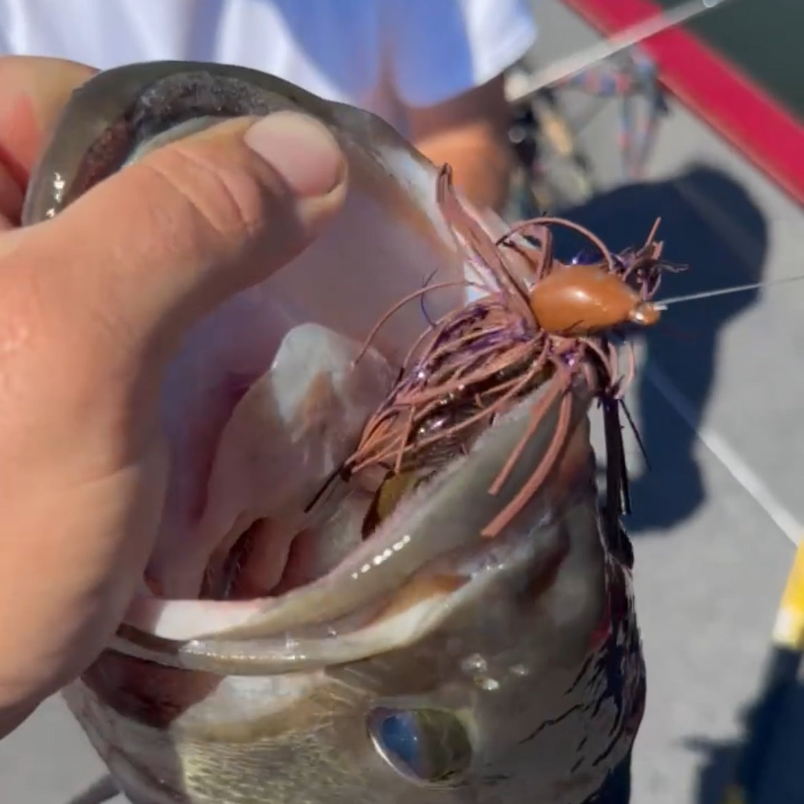 Motion Fishing | Flash Mop | Rubber Tinsel Fishing Jig – Motion