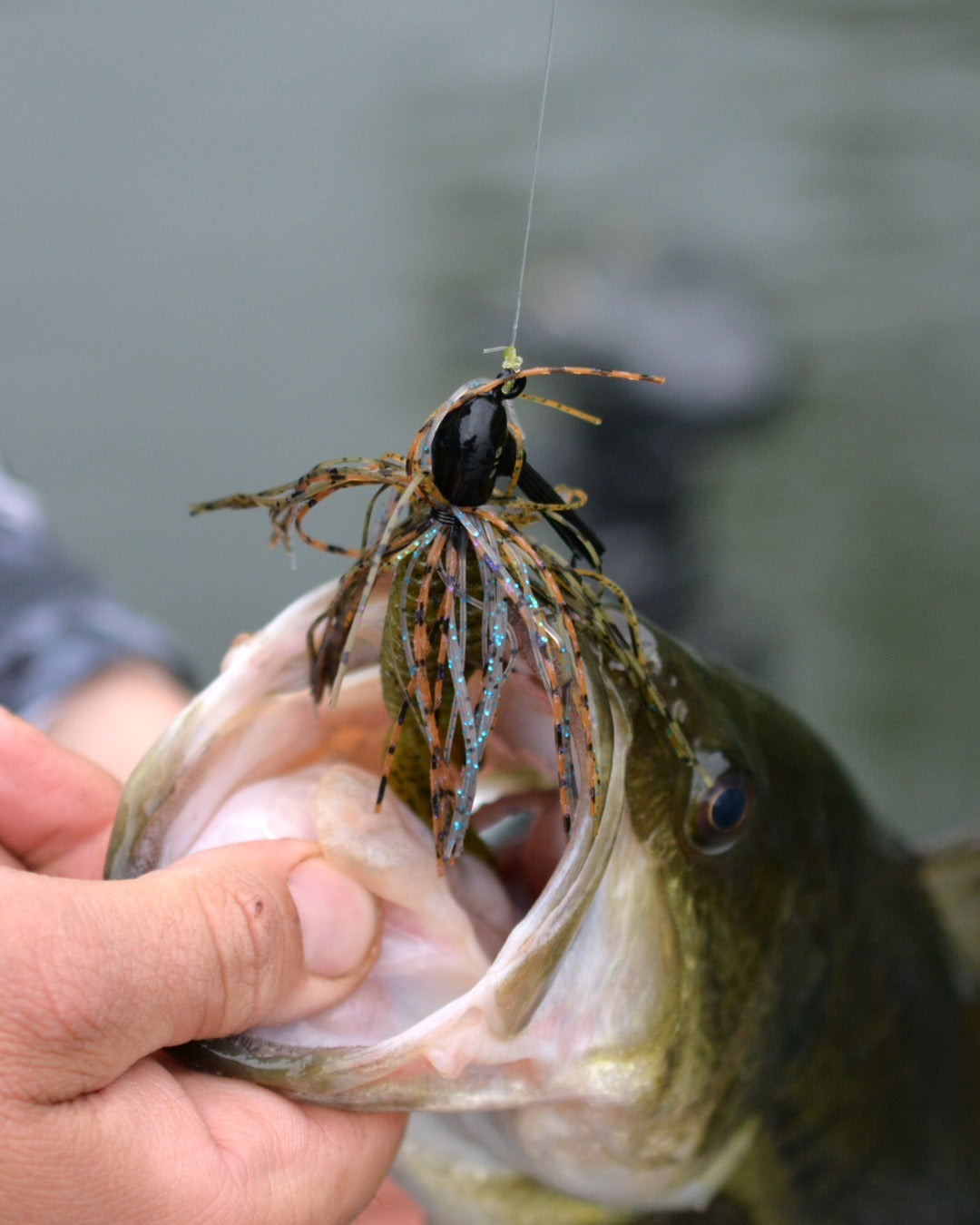 Gill Candy Tungsten Tank Fishing lure inside a fish's mouth with water in the background