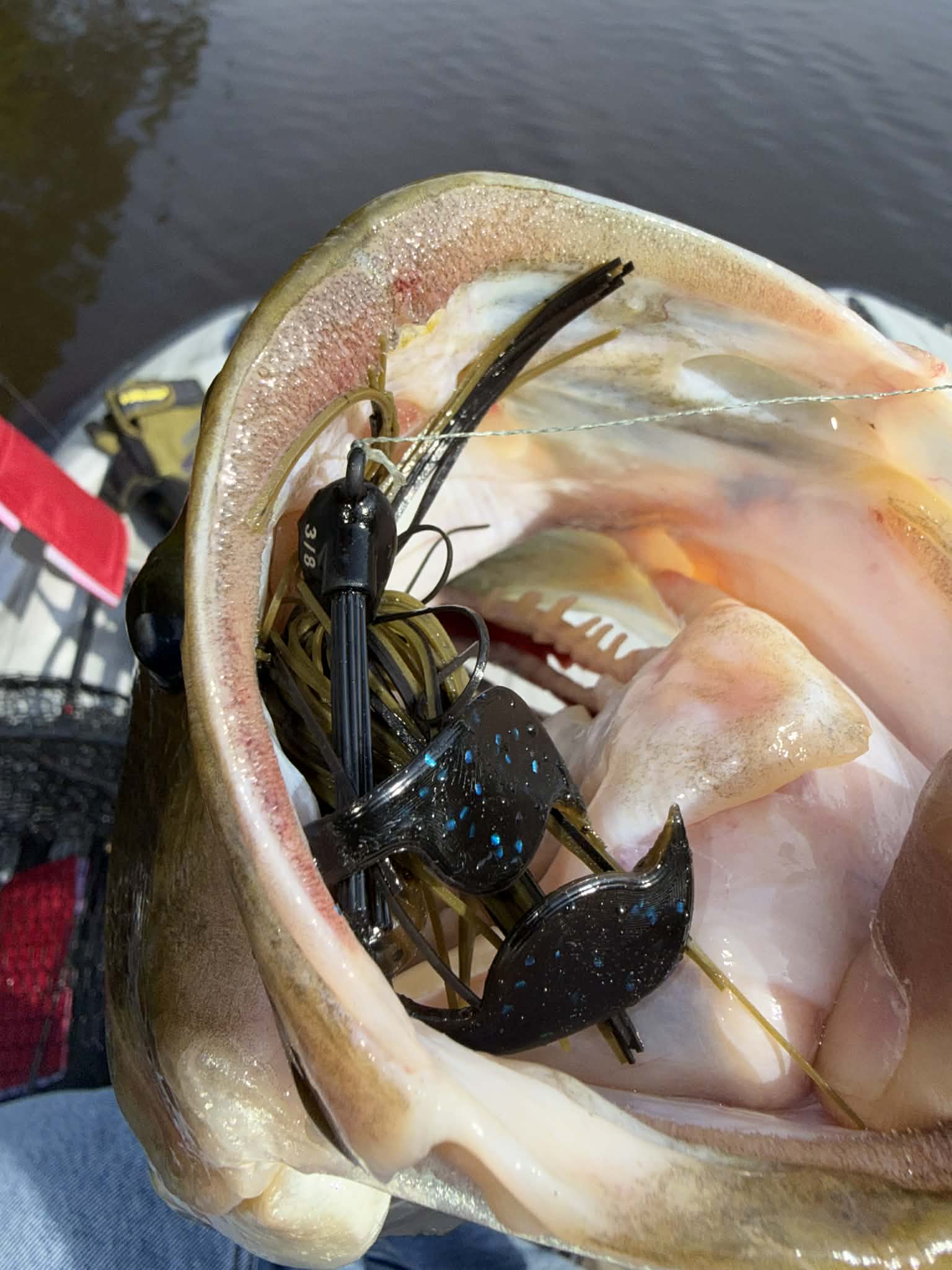 Green Pumpkin Black Tungsten Tank Fishing lure inside a fish's mouth with water in the background