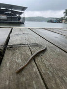 Motion Fishing Standby Worm Texas rigged with a bullet weight and offset hook