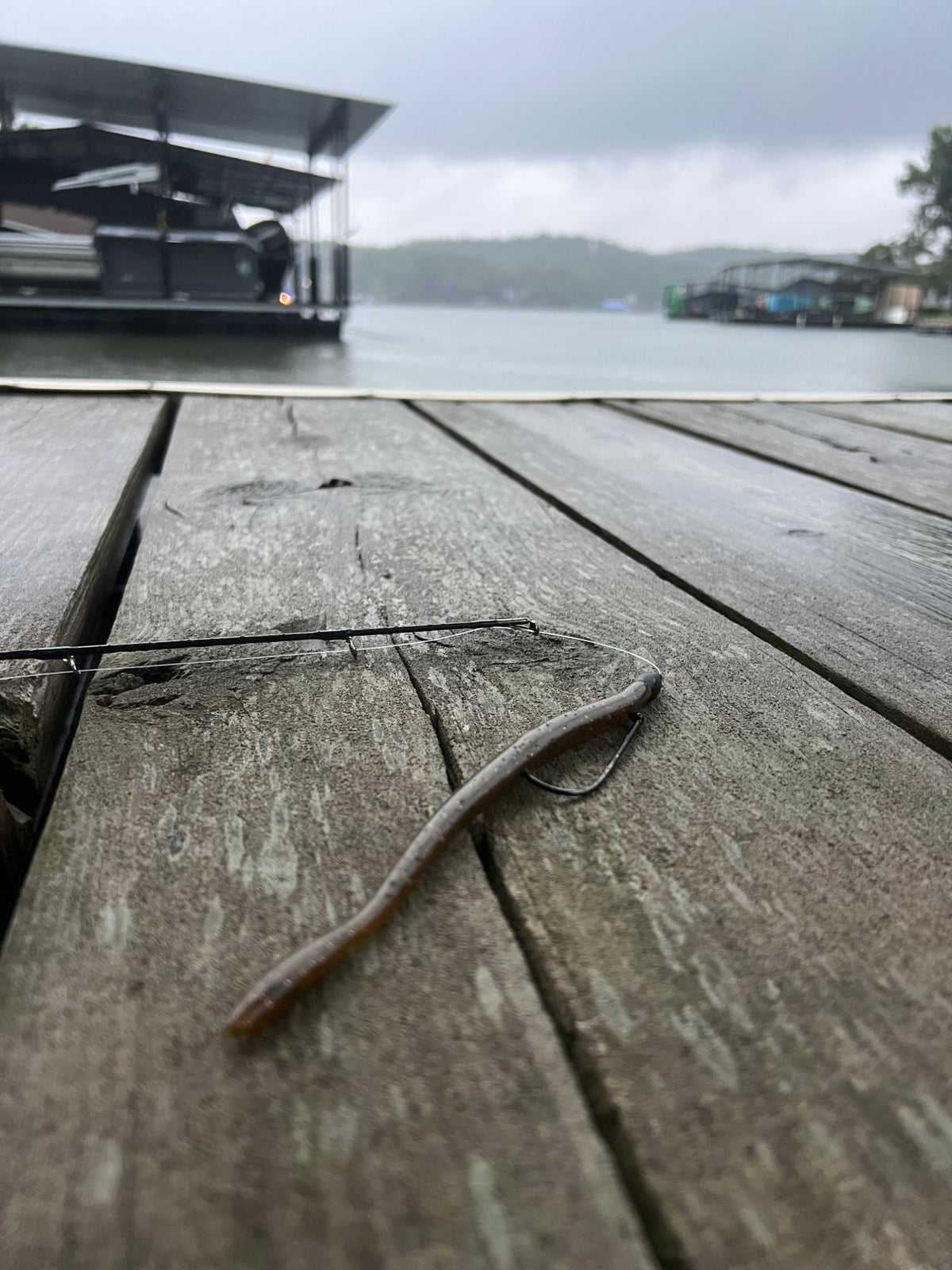 Motion Fishing Standby Worm Texas rigged with a bullet weight and offset hook
